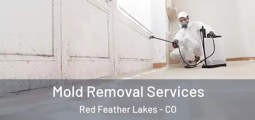 Mold Removal Services Red Feather Lakes - CO