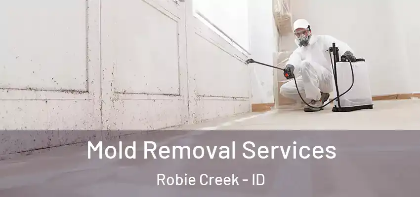  Mold Removal Services Robie Creek - ID