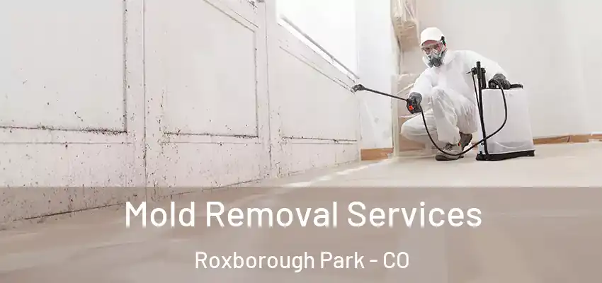 Mold Removal Services Roxborough Park - CO