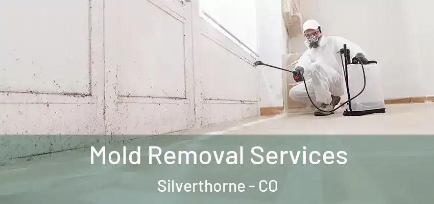 Mold Removal Services Silverthorne - CO