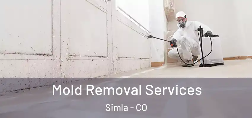 Mold Removal Services Simla - CO