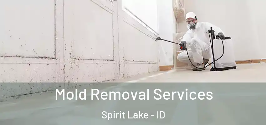  Mold Removal Services Spirit Lake - ID