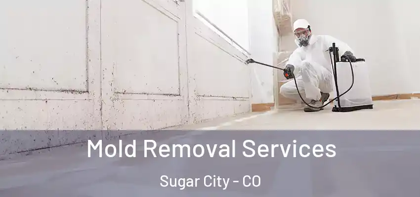  Mold Removal Services Sugar City - CO