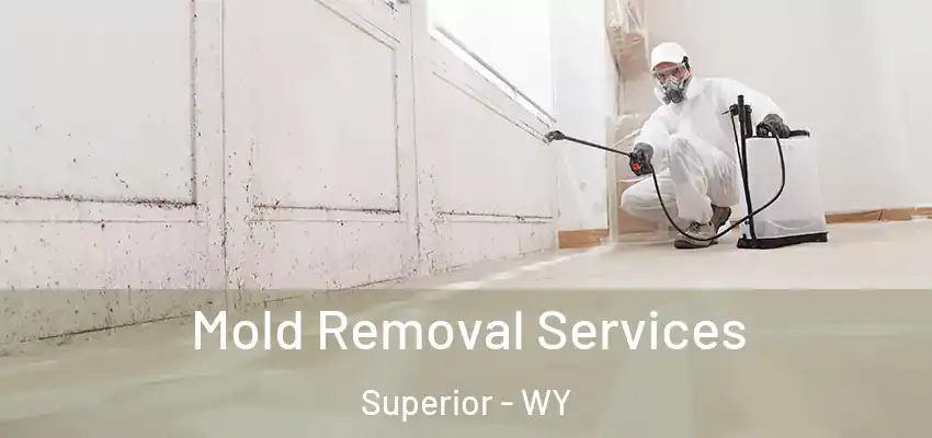  Mold Removal Services Superior - WY