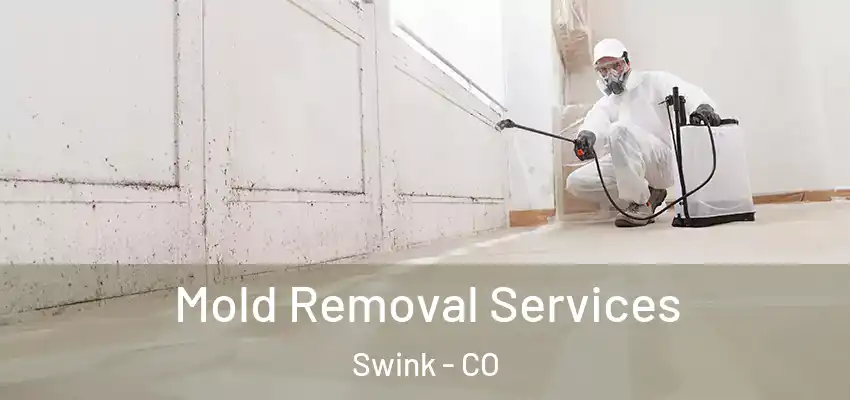  Mold Removal Services Swink - CO