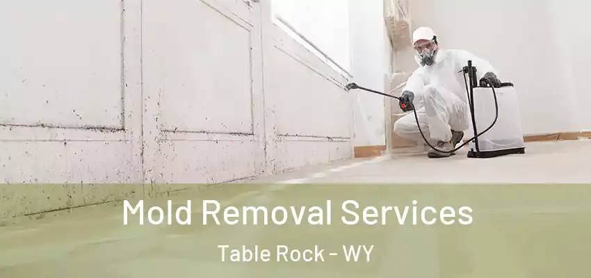 Mold Removal Services Table Rock - WY