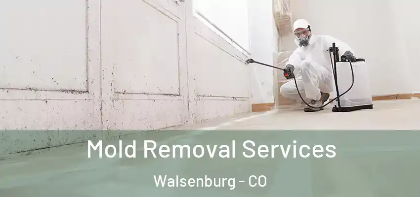  Mold Removal Services Walsenburg - CO