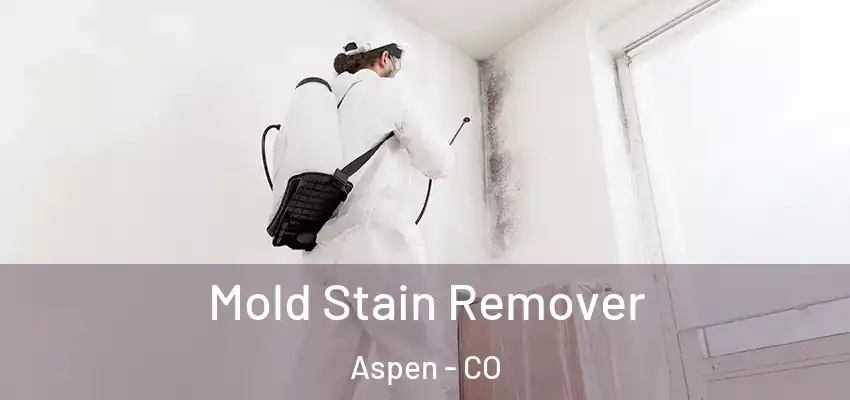  Mold Stain Remover Aspen - CO