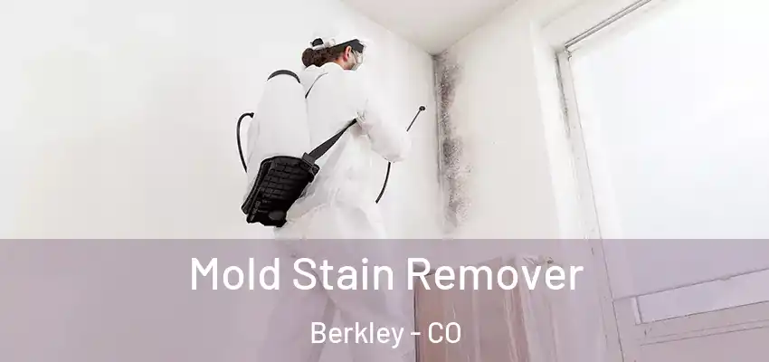  Mold Stain Remover Berkley - CO