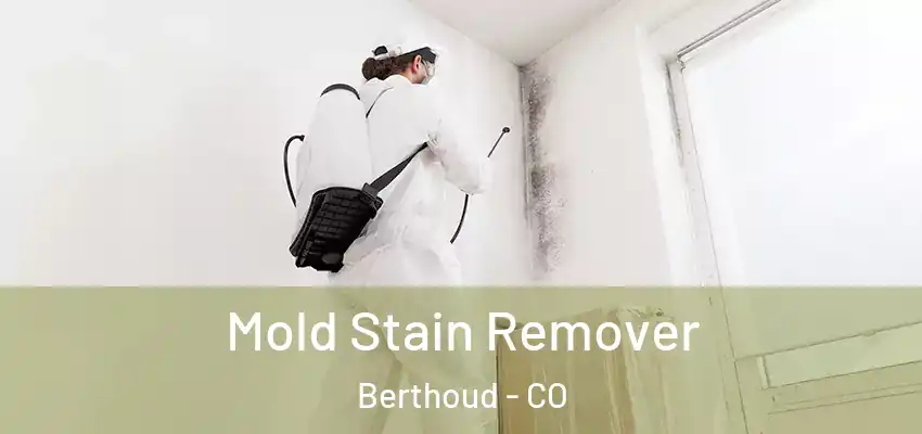  Mold Stain Remover Berthoud - CO