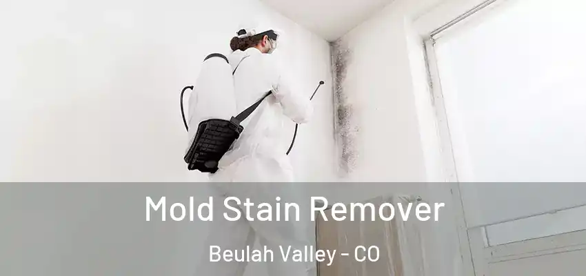  Mold Stain Remover Beulah Valley - CO