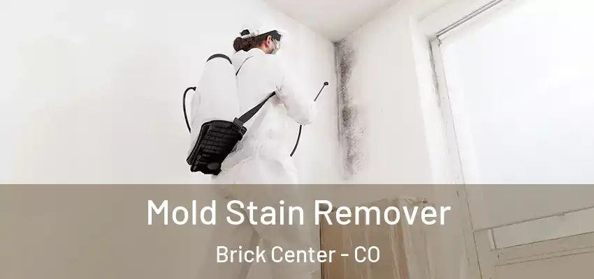  Mold Stain Remover Brick Center - CO