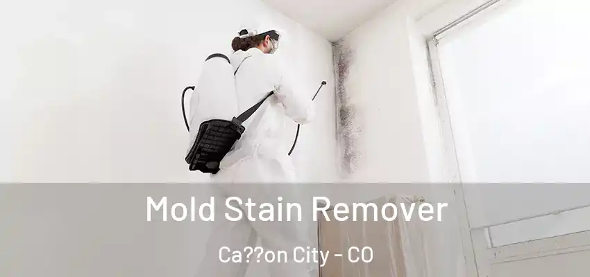  Mold Stain Remover Ca??on City - CO