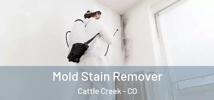  Mold Stain Remover Cattle Creek - CO