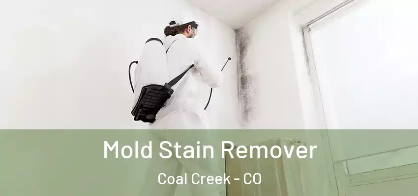  Mold Stain Remover Coal Creek - CO