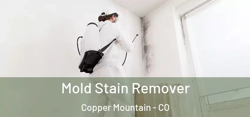 Mold Stain Remover Copper Mountain - CO