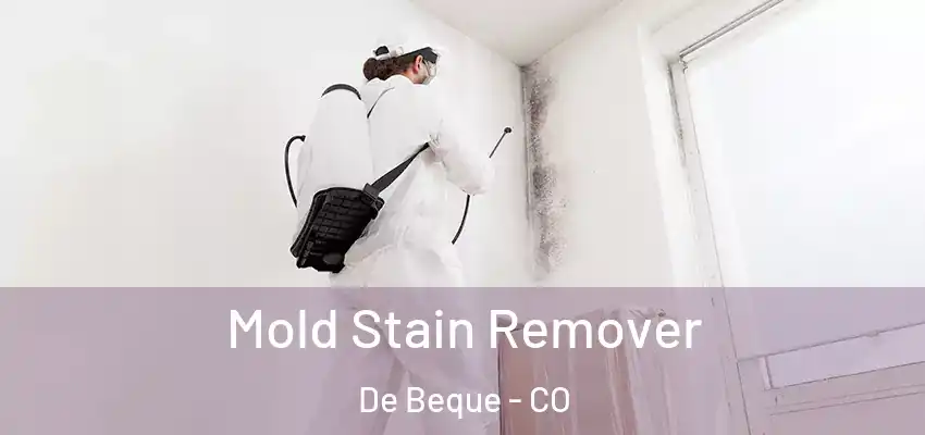  Mold Stain Remover De Beque - CO