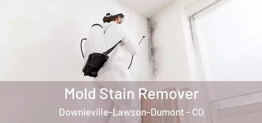  Mold Stain Remover Downieville-Lawson-Dumont - CO