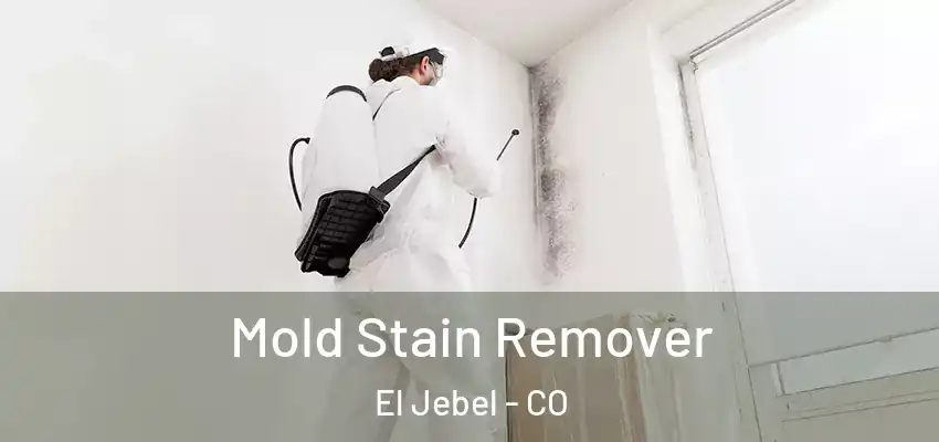  Mold Stain Remover El Jebel - CO