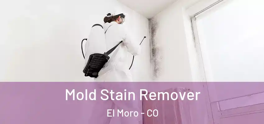  Mold Stain Remover El Moro - CO