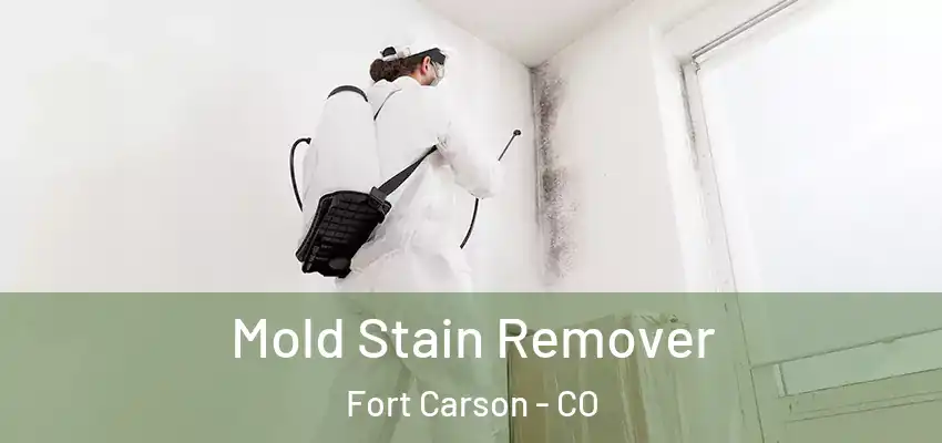  Mold Stain Remover Fort Carson - CO