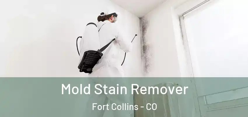 Mold Stain Remover Fort Collins - CO
