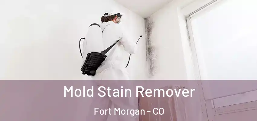 Mold Stain Remover Fort Morgan - CO