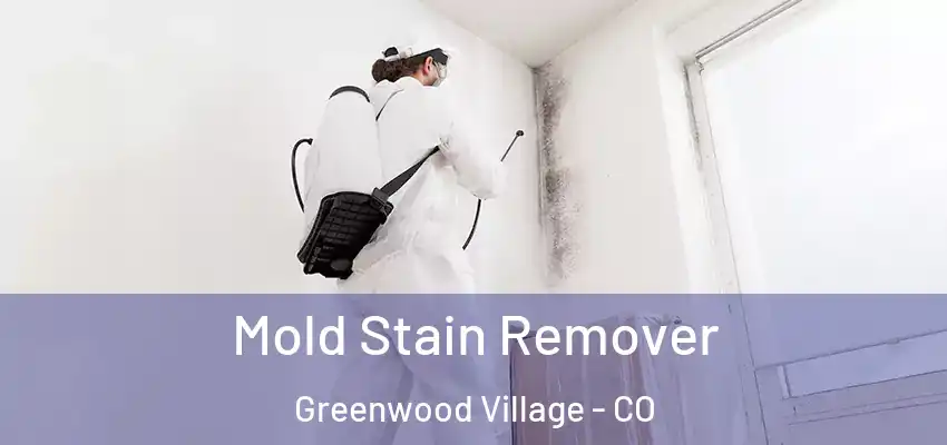  Mold Stain Remover Greenwood Village - CO