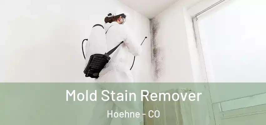 Mold Stain Remover Hoehne - CO