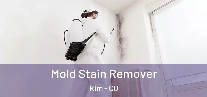  Mold Stain Remover Kim - CO