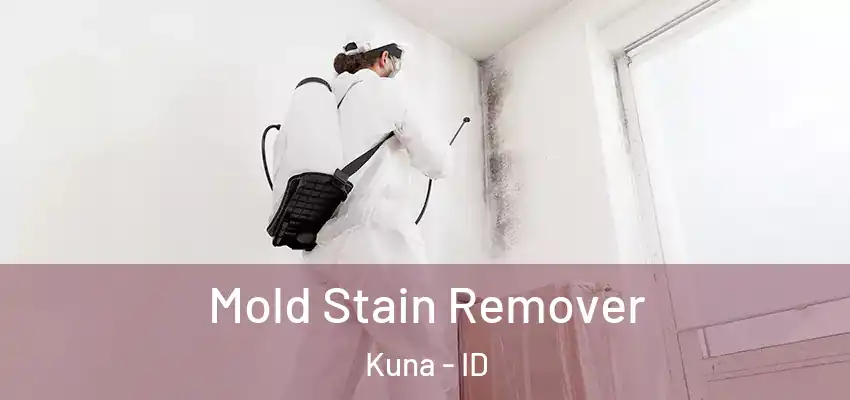  Mold Stain Remover Kuna - ID