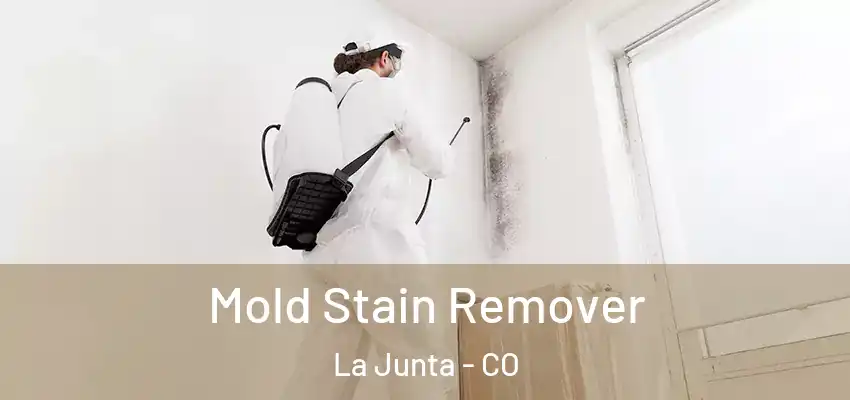  Mold Stain Remover La Junta - CO