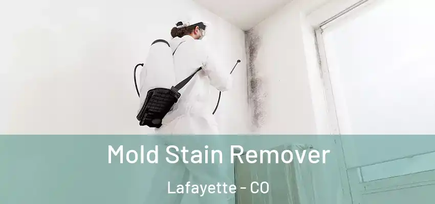 Mold Stain Remover Lafayette - CO