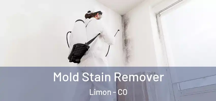  Mold Stain Remover Limon - CO