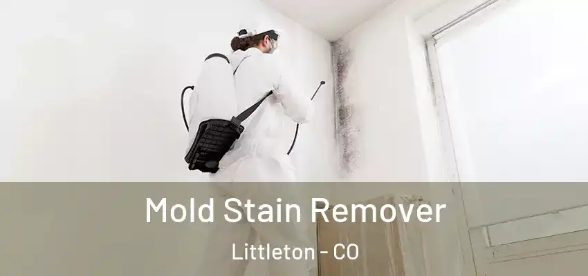 Mold Stain Remover Littleton - CO