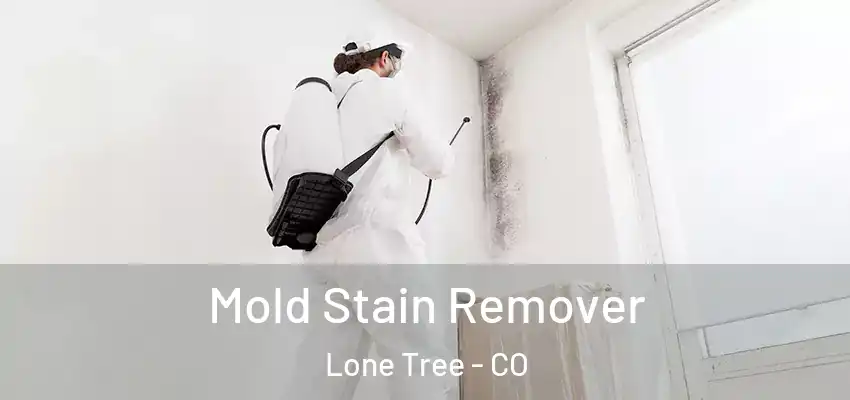  Mold Stain Remover Lone Tree - CO