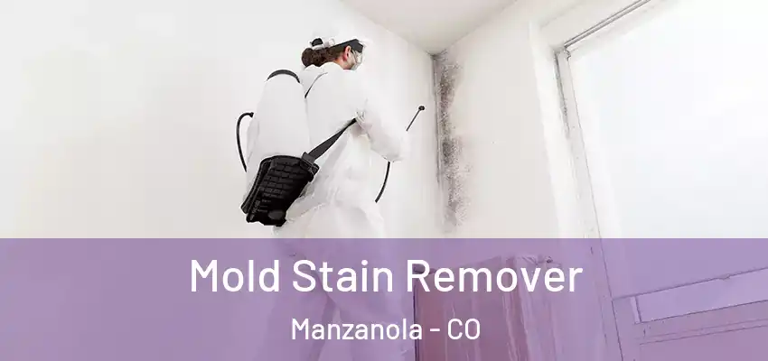Mold Stain Remover Manzanola - CO