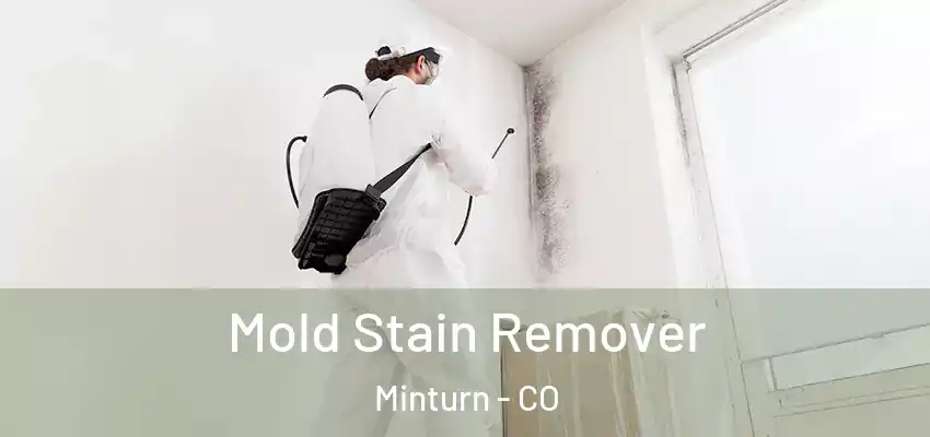  Mold Stain Remover Minturn - CO