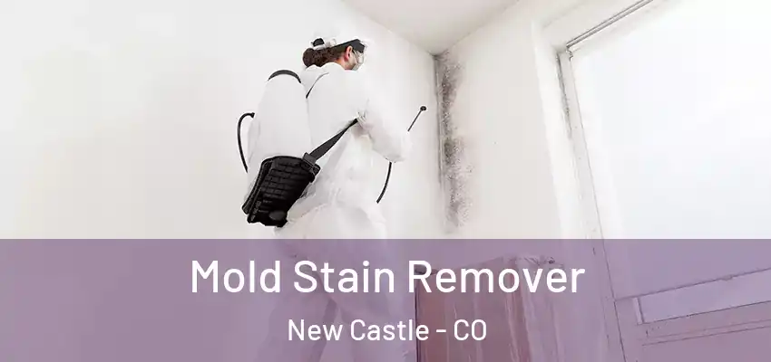  Mold Stain Remover New Castle - CO