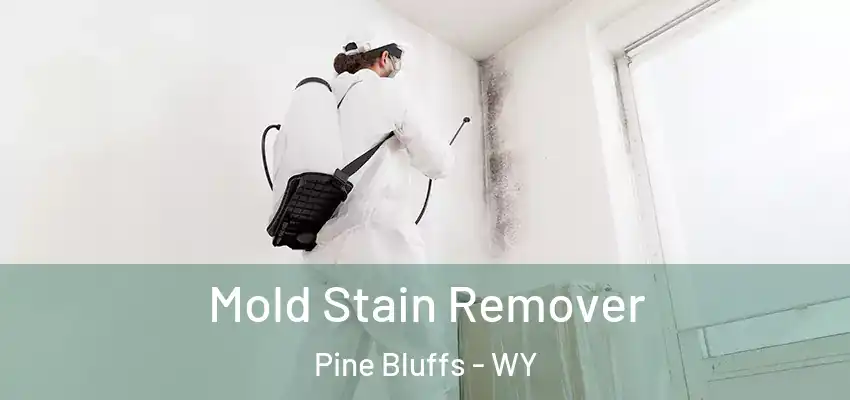 Mold Stain Remover Pine Bluffs - WY