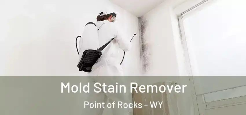  Mold Stain Remover Point of Rocks - WY