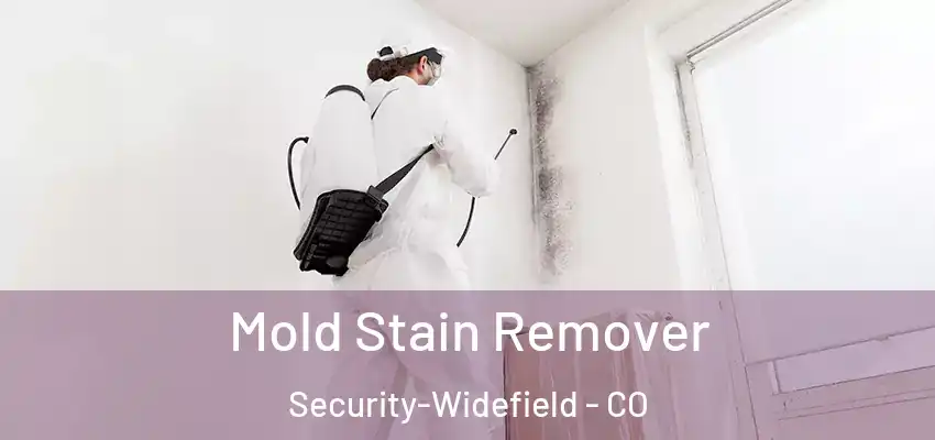 Mold Stain Remover Security-Widefield - CO