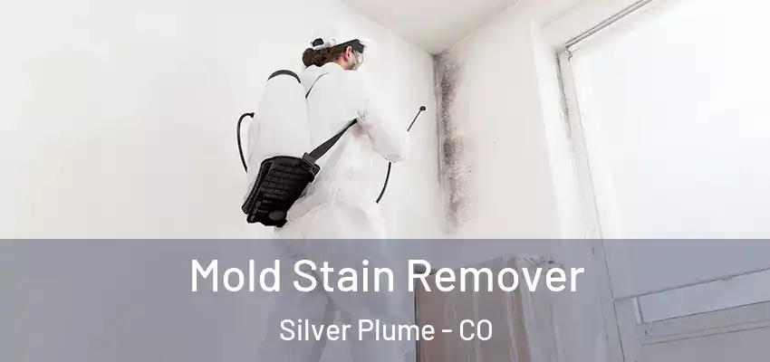 Mold Stain Remover Silver Plume - CO