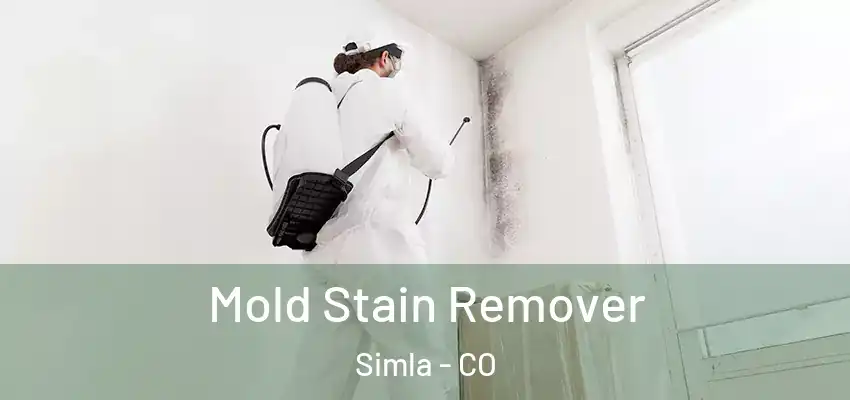 Mold Stain Remover Simla - CO