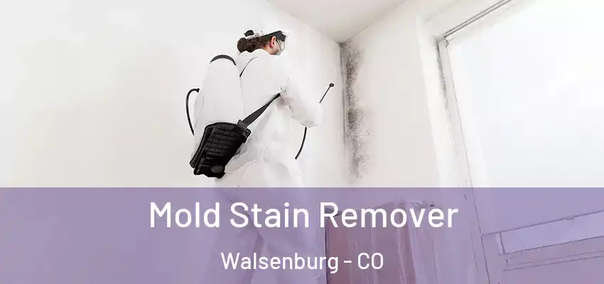 Mold Stain Remover Walsenburg - CO