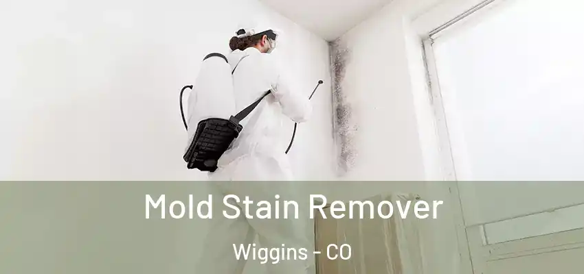  Mold Stain Remover Wiggins - CO
