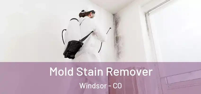  Mold Stain Remover Windsor - CO