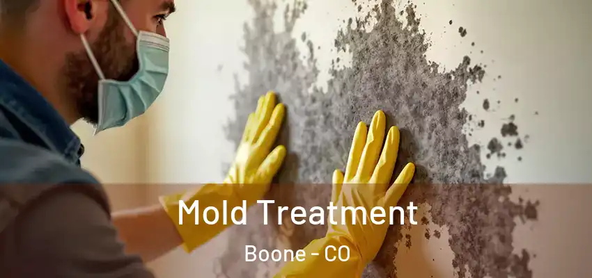  Mold Treatment Boone - CO
