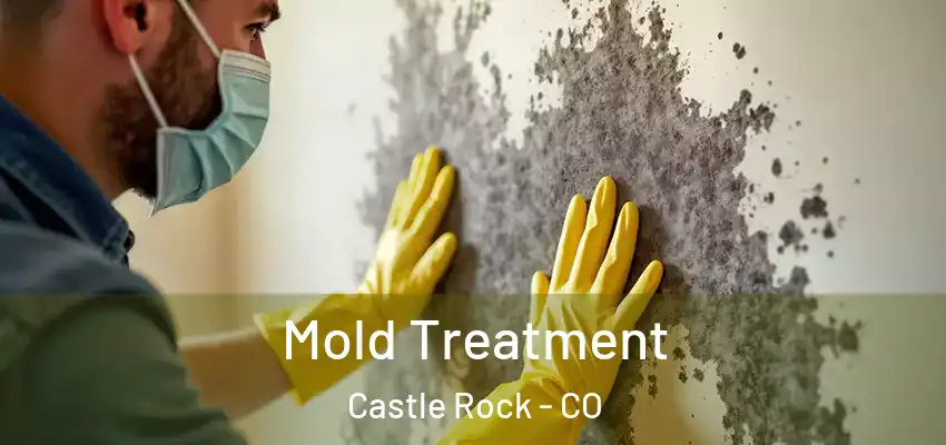  Mold Treatment Castle Rock - CO