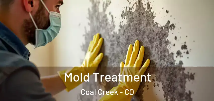  Mold Treatment Coal Creek - CO